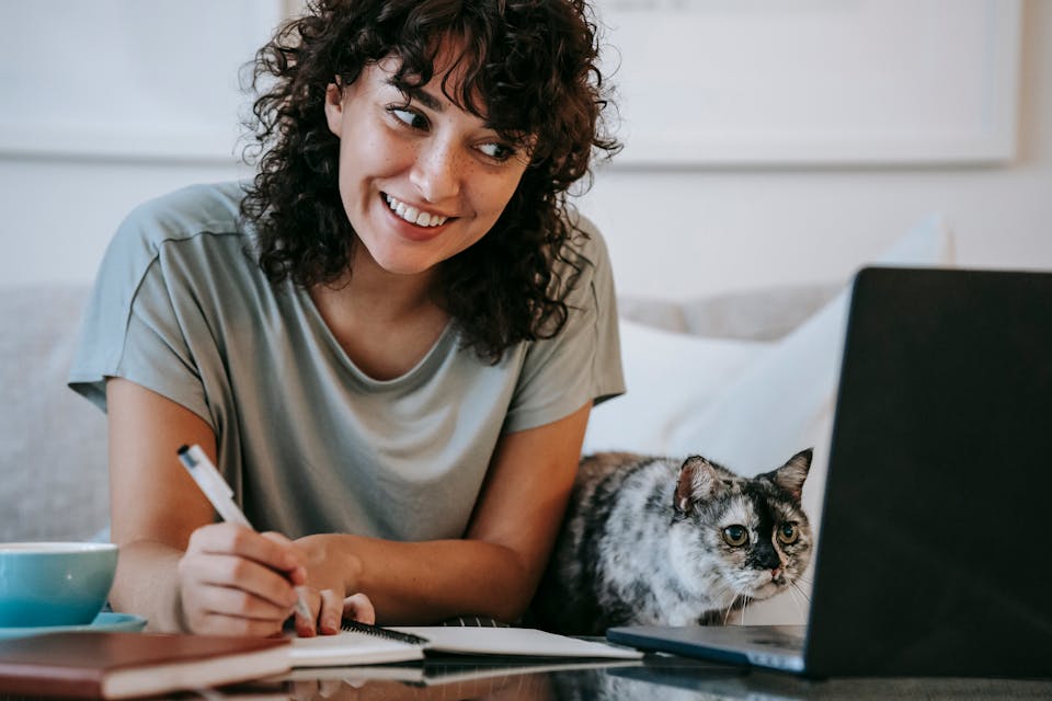 approivoiser un chat 2