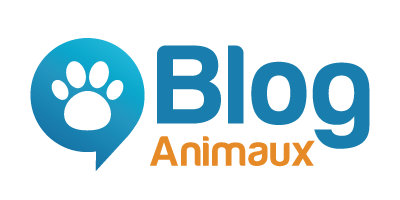 Blog Animaux