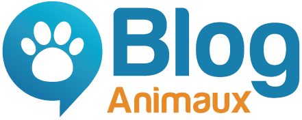 Blog Animaux