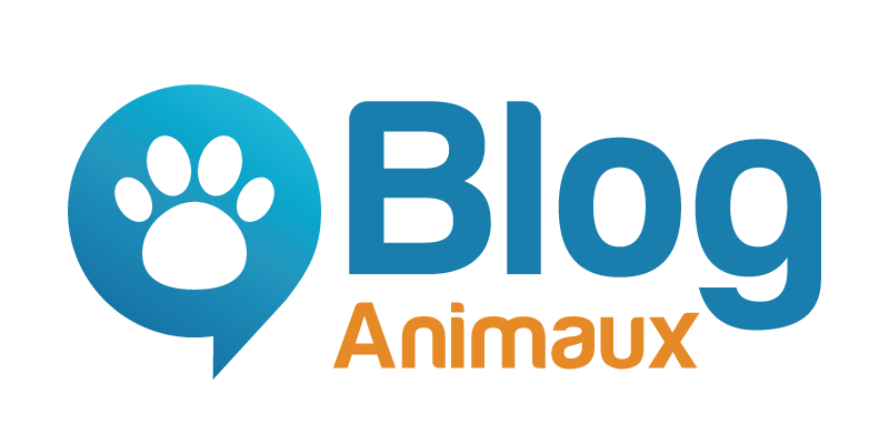 Blog Animaux